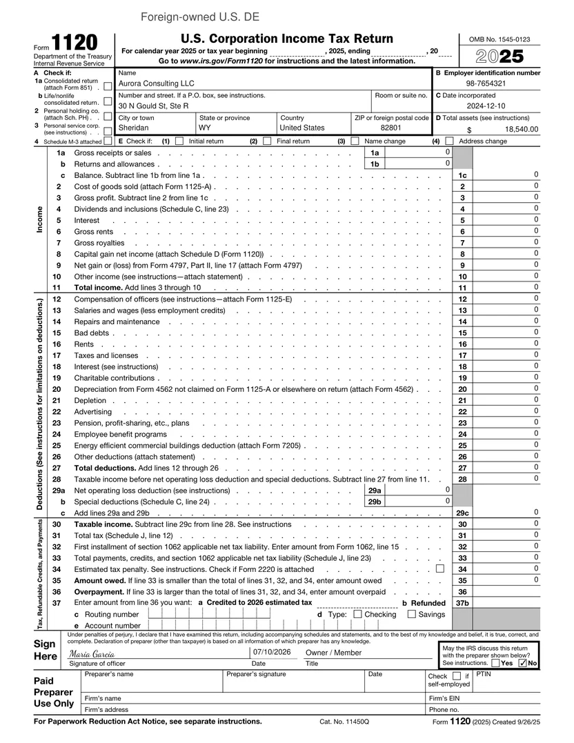 Pro forma IRS Form 1120, the return the 5472 is attached to